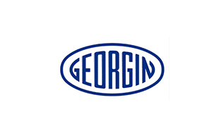 Georgin